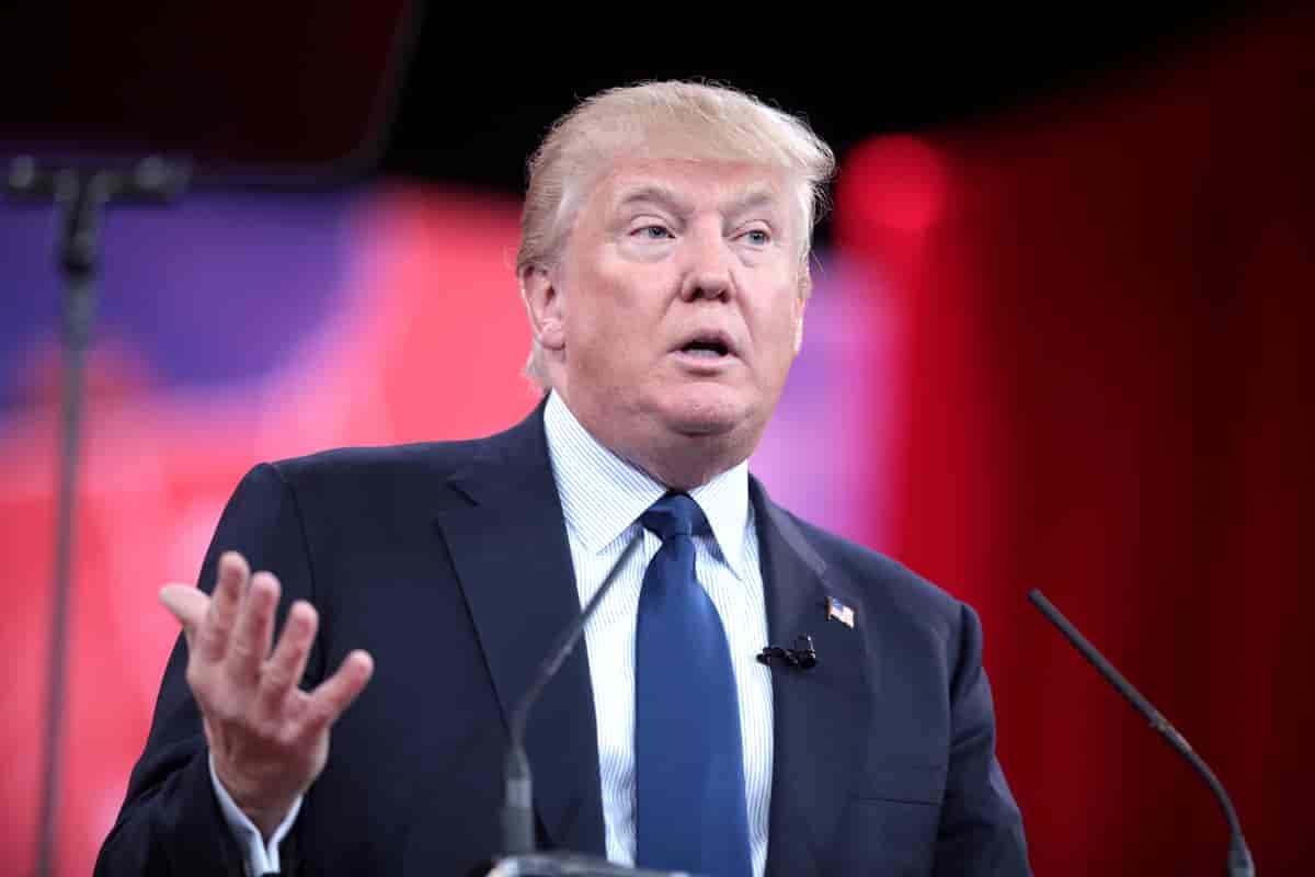 A "Herro" in Disguise - Trump Family's New Crypto Guru