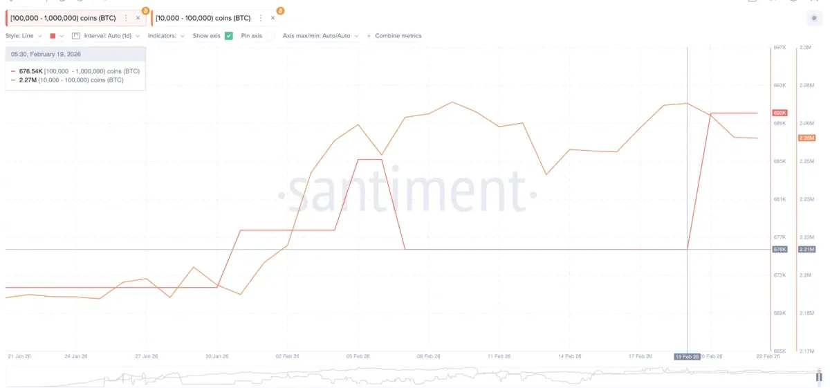 Polymarket Prediction Bets Defy Bitcoin's Price Crash