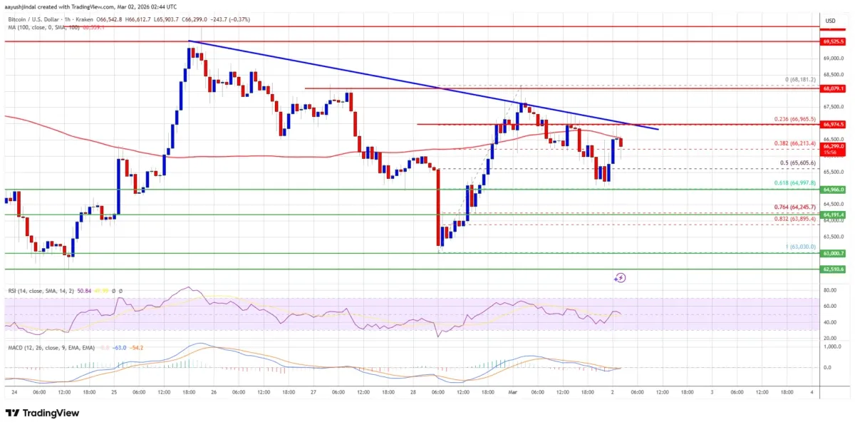 Bitcoin Steady After Edging Lower From Iran War