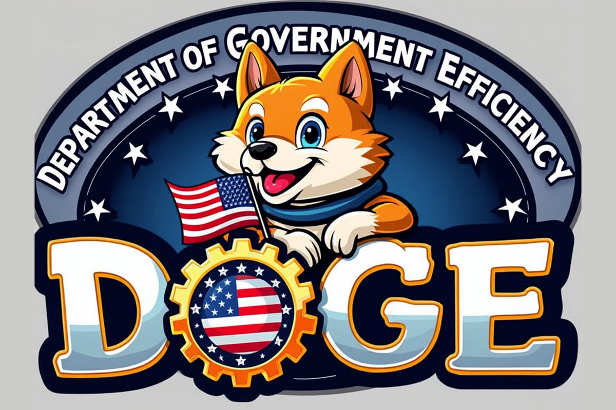 DOGE Elon Musk Leading Trump's 'Department of Government Efficiency